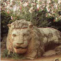 la belle ville ou maroc  ifrane